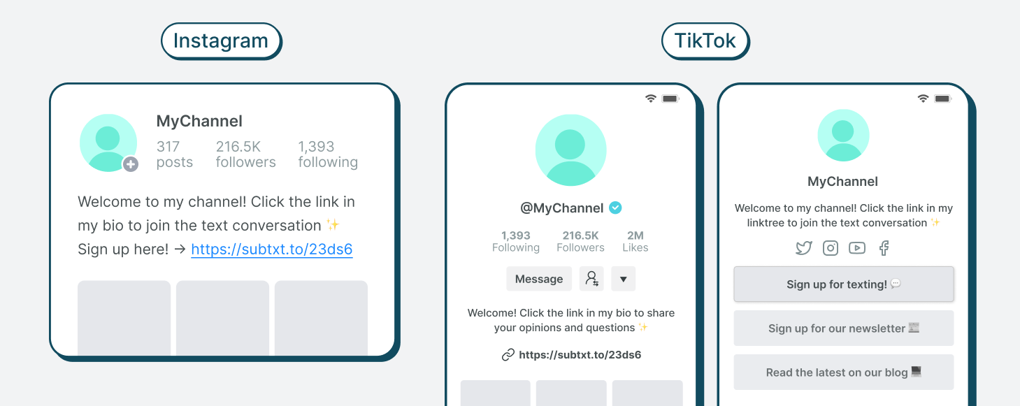 Instagram TikTok and YouTube