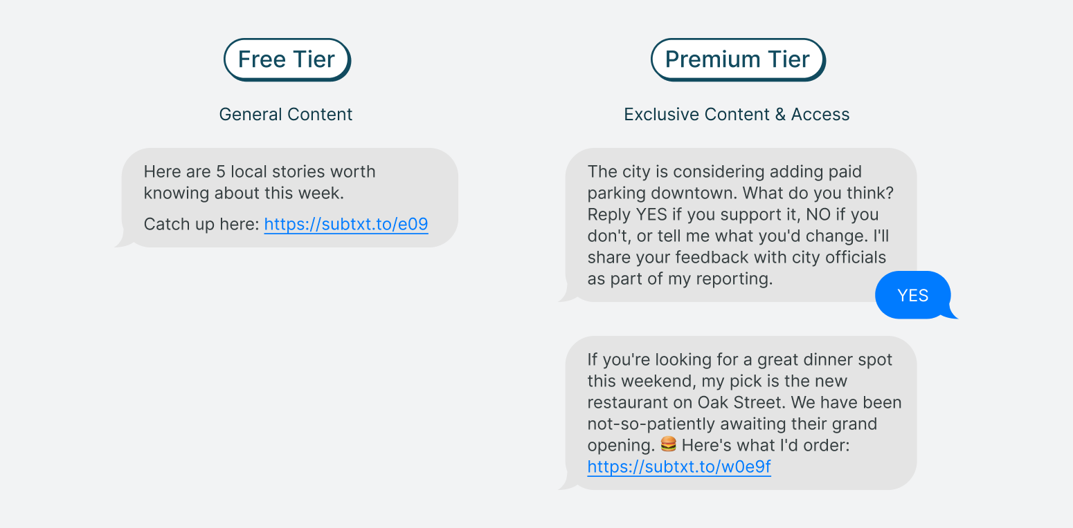 Paid Subscription Tiers